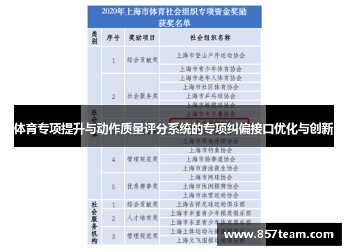 体育专项提升与动作质量评分系统的专项纠偏接口优化与创新